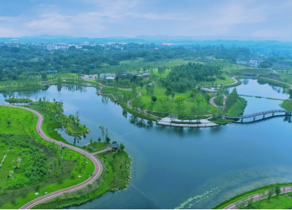 "新"水绕"新"城:自贡新增多个湿地公园