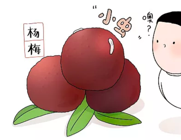 网传吃了有虫的杨梅会生病专家有简单可行的方法可治