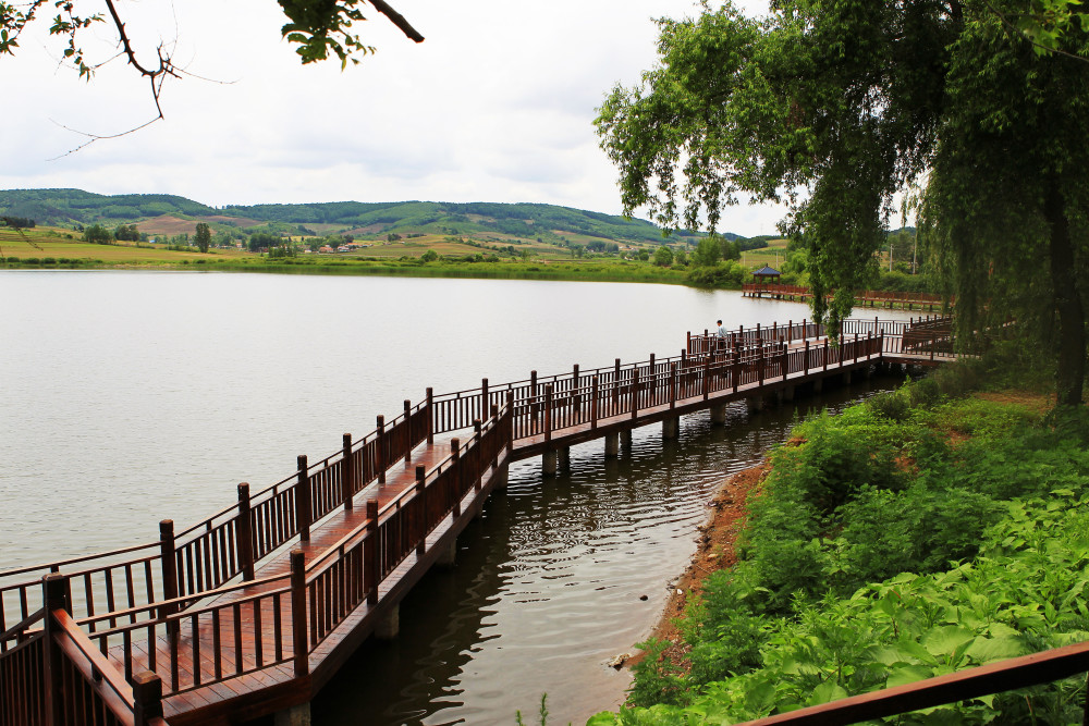 "乡村旅游 "为东丰县树品牌聚人气