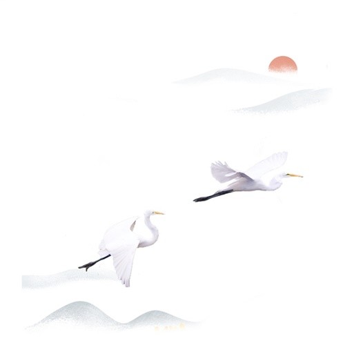 一行白鹭上青天