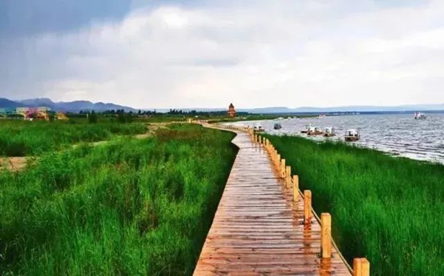 悦赏倾听内蒙古六月相约在岱海旅游度假区