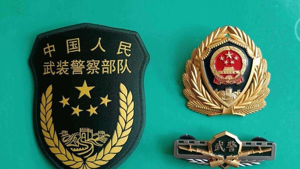 關外第一師1996年第40集團軍120師為何改編為武警機動師