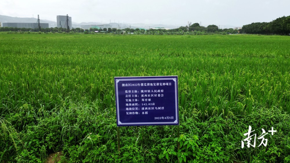 潮南“啃”荒记丨陇田镇：撂荒耕地“醒”了，村集体经济“稳”了_腾讯新闻