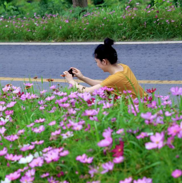 这里是枝江仙女镇踏青神游得好去处_腾讯新闻