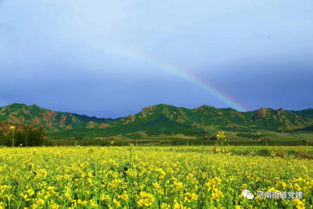 油菜花開summer is coming燦然開放370餘畝油菜花在河南街道馬鞍山下