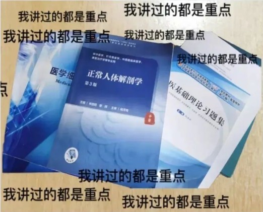 给大家科普一下新诺国际少儿英语2023已更新(网易/哔哩哔哩)v3.10.3