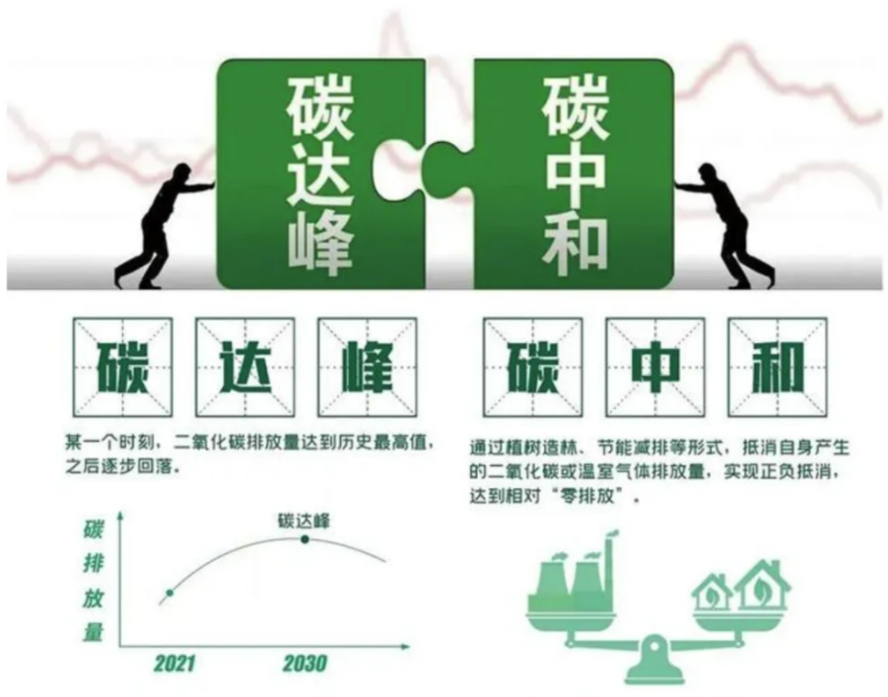华山论剑|blue卫蓝计划:领先十年的脱碳目标,是"先行者"才有的责任和