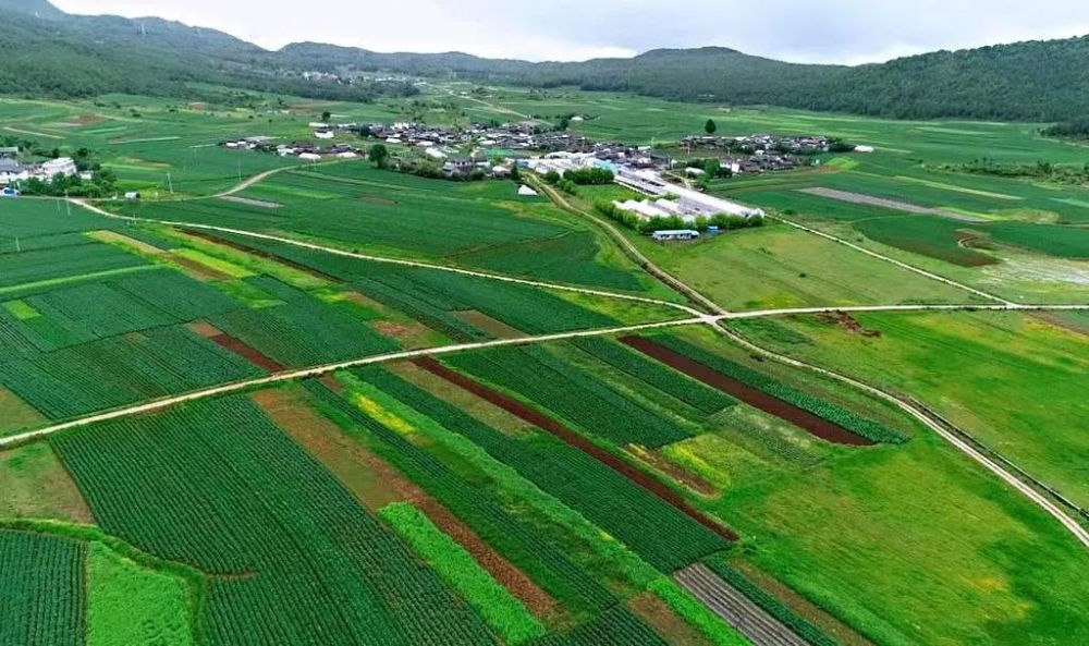 人在南溪村无风自清凉