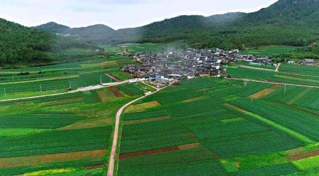 人在南溪村,无风自清凉!