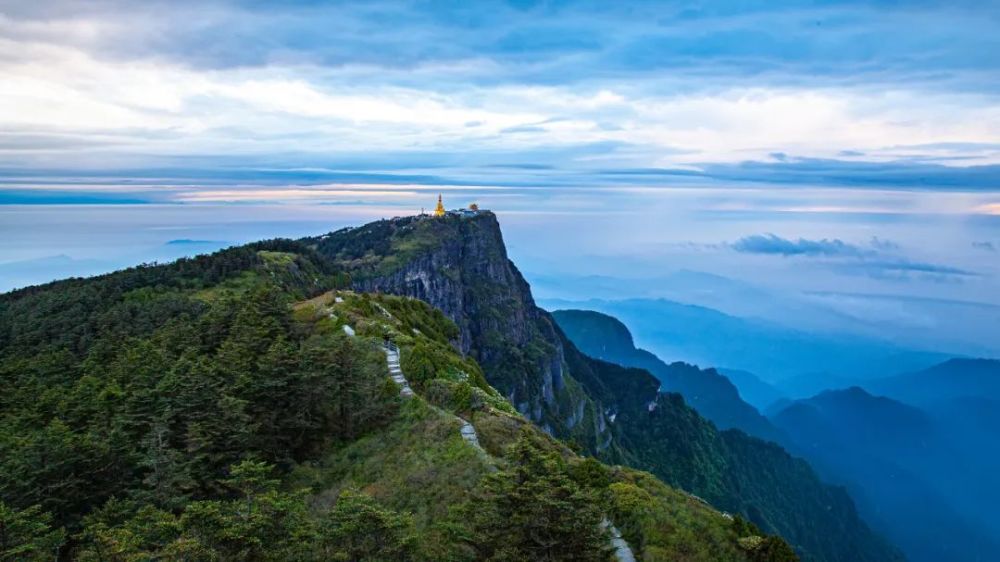 熊出没峨眉山太子坪惊现可爱淘气小精灵