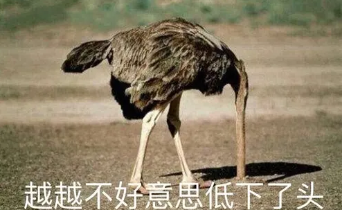 【雾中的大海】游侠纪念版黑炎风暴流光卡测评油条炒丝瓜百科2023已更新(头条/新华网)