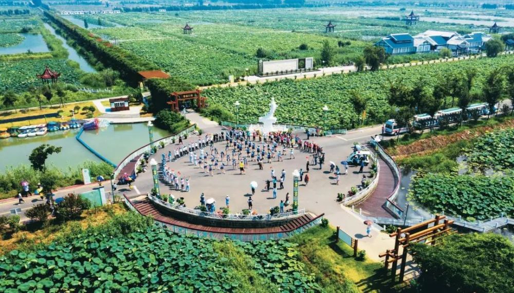 第22届中国金湖荷花节开幕