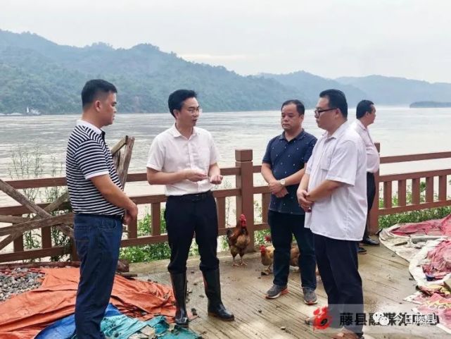蒙中平先后来到和平镇屯江村,濛江镇莲垌村,藤州