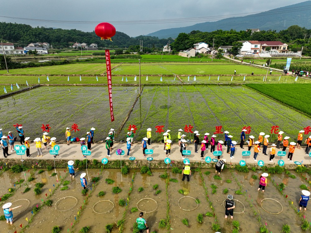 2022年宜都首届农耕文化插秧节举行