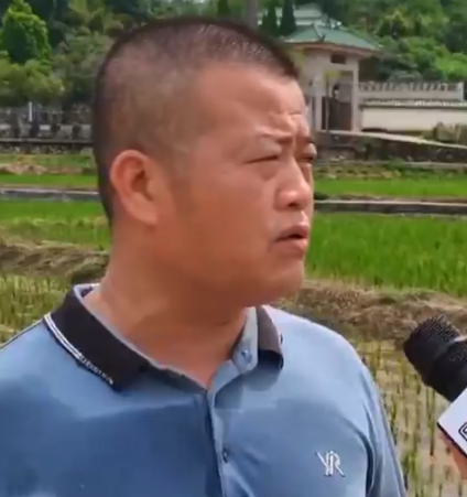 在丰顺县留隍镇,黄金镇,洪水已退,灾后清理和复产工作正有序开展.