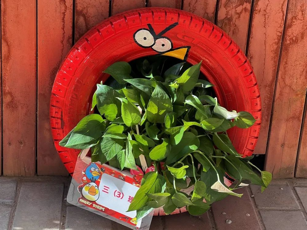 轮胎脱"胎"赋能展新颜变废为宝的环保理念再次丰富了学校文化建设