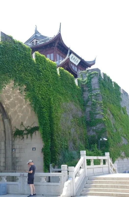 君到姑苏见,人家尽枕河—乘船游览苏州环古城河