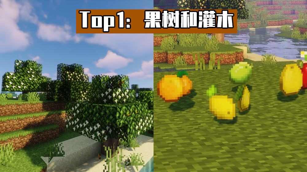 我的世界：床单、季节、专家模式！mc未来会加入的11个天才建议！