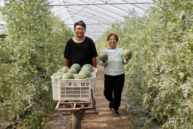 太谷西瓜的做法(山西太谷批发西瓜在哪里)