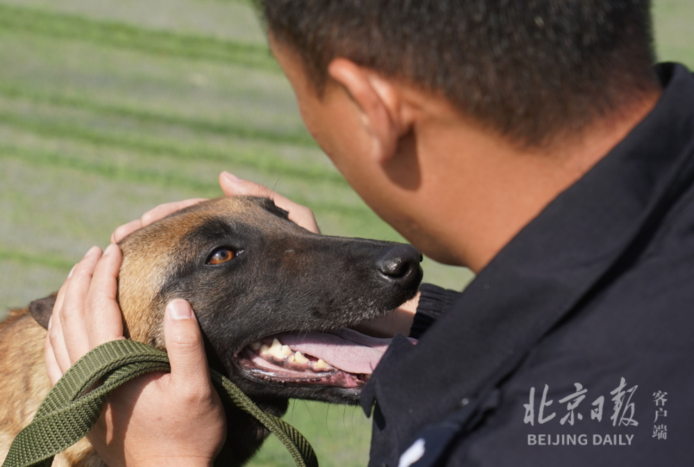 北京警犬训练基地用上了哪些高科技？现场独家揭秘贵州省正厅级干部名单