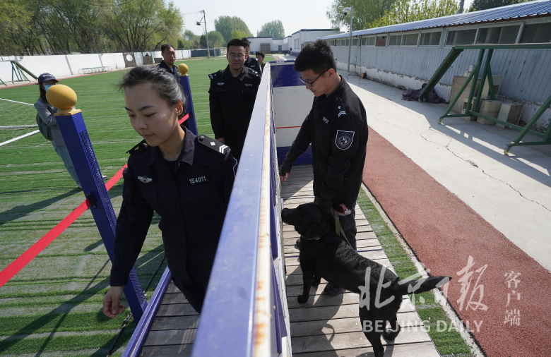北京警犬训练基地用上了哪些高科技？现场独家揭秘贵州省正厅级干部名单