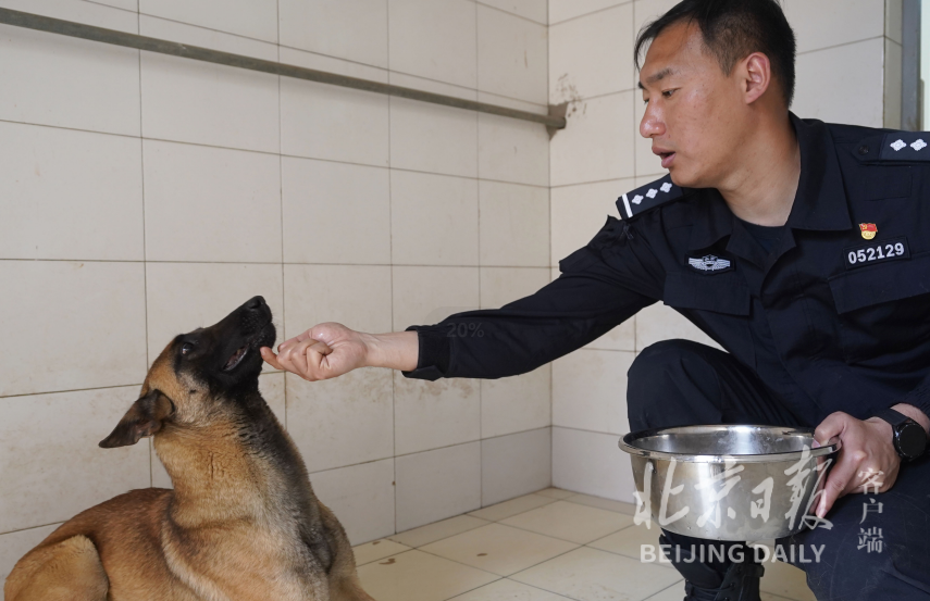 北京警犬训练基地用上了哪些高科技？现场独家揭秘贵州省正厅级干部名单