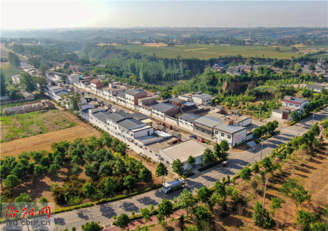 朱寨村6月19日,走进孟津区送庄镇朱寨村,映入记者眼帘是一座座错落有