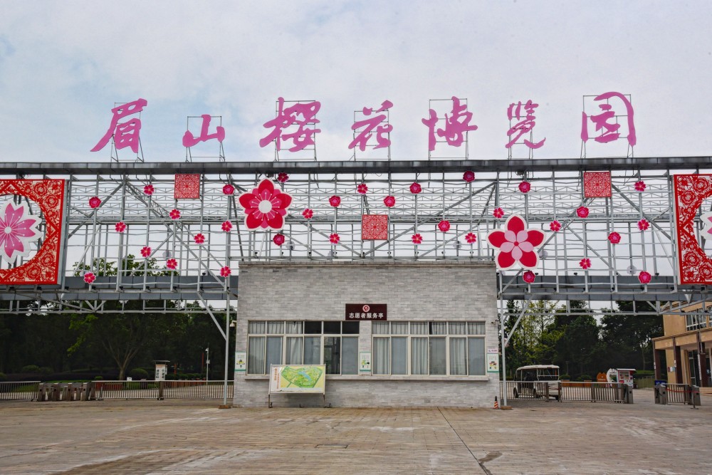 而且花朵娇嫩,并不会存续很长时间,哪怕博览园里种植了不同品种的樱花