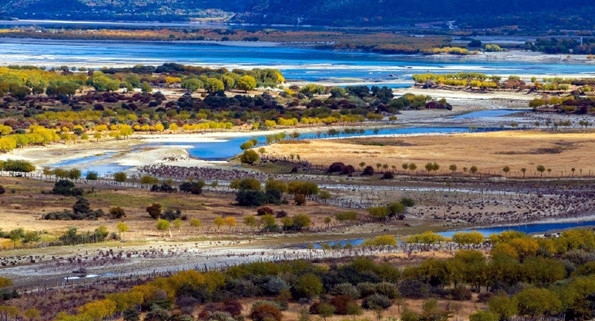 来源:网络雅尼国家湿地公园位于西藏林芝域内的雅鲁藏布江与尼洋河