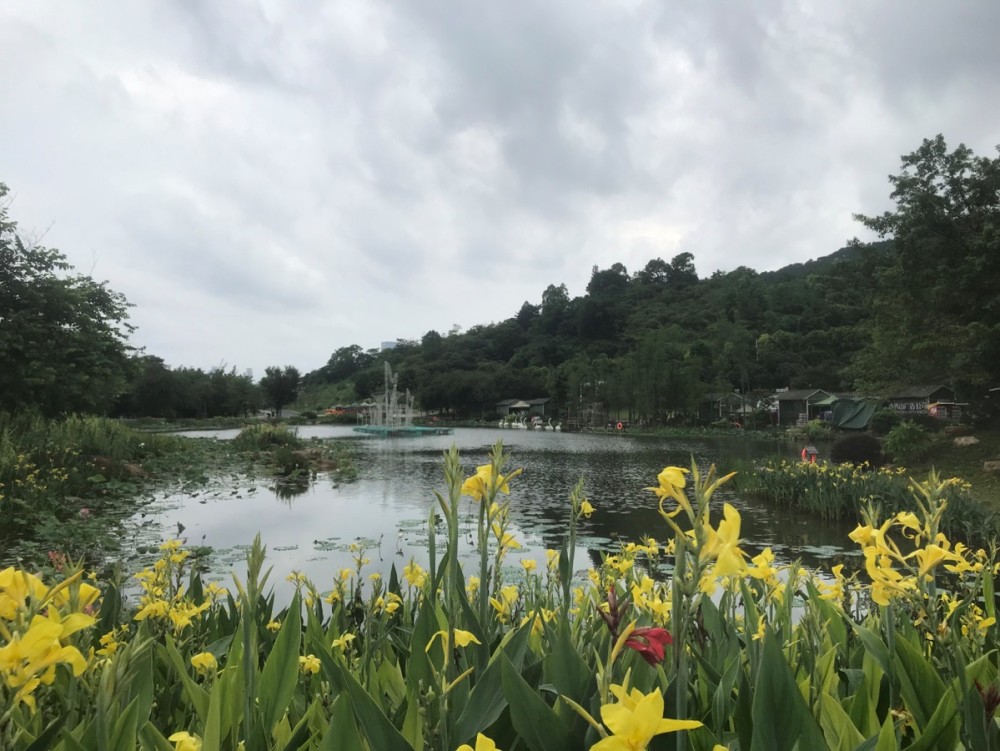 南宁青秀山风景区举办2022年水生花卉观赏季