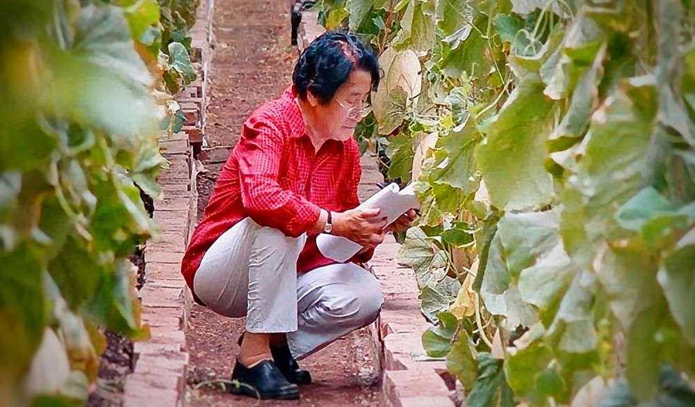 画家吴明珠作品多少钱(吴明珠院士简历)-画家吴明珠联系方式,画家吴明珠作品多少钱(吴明珠院士简历)-画家吴明珠联系方式,画家吴明珠,第1张