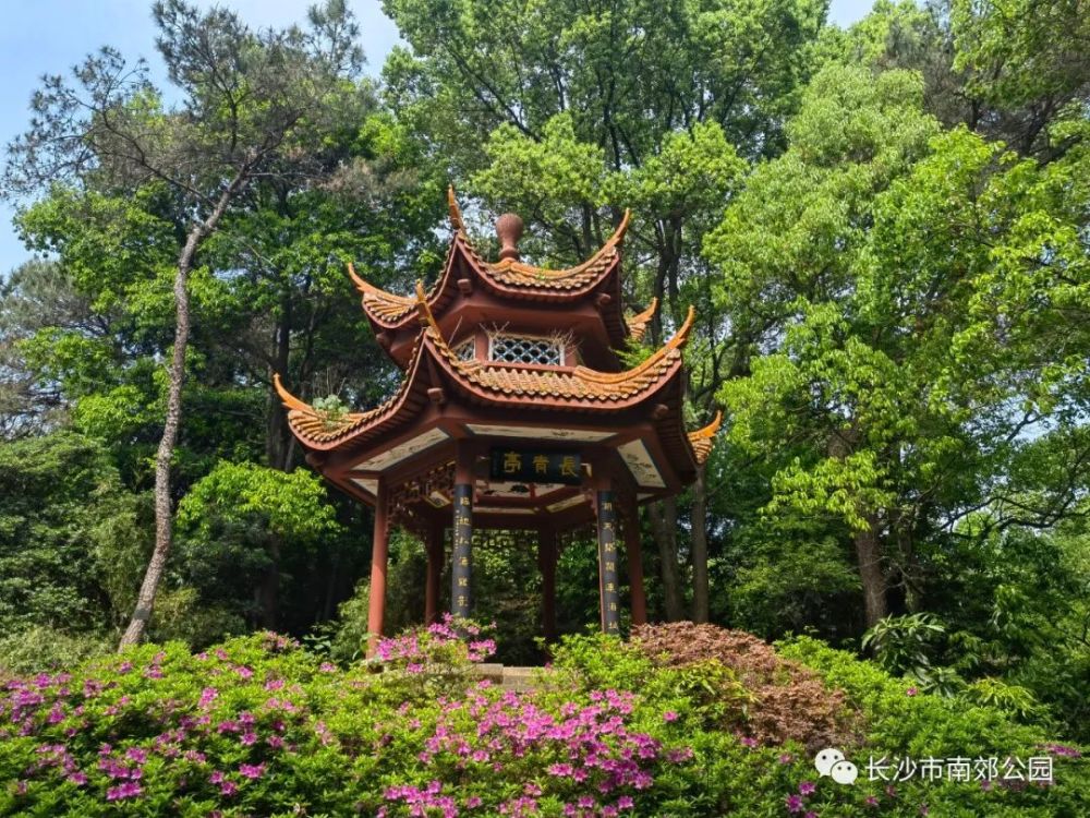 南郊公园这些美景你都知道在哪吗?