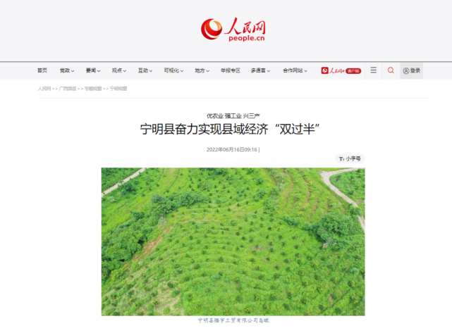 【主流媒体看宁明（35）】人民网—优农业 强工业 兴三产 宁明县奋力实现县域经济“双过半”_腾讯新闻