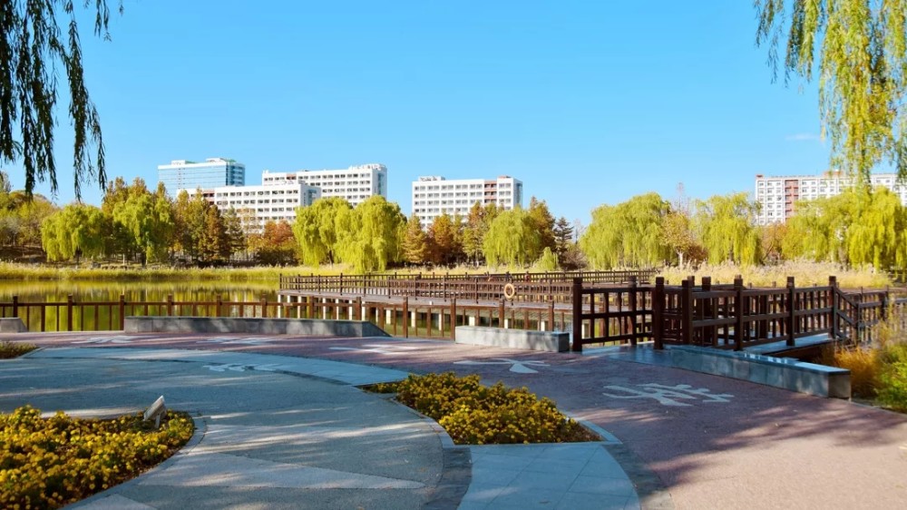 北京理工大学好不好?低调有实力值得拥有!_腾讯新闻