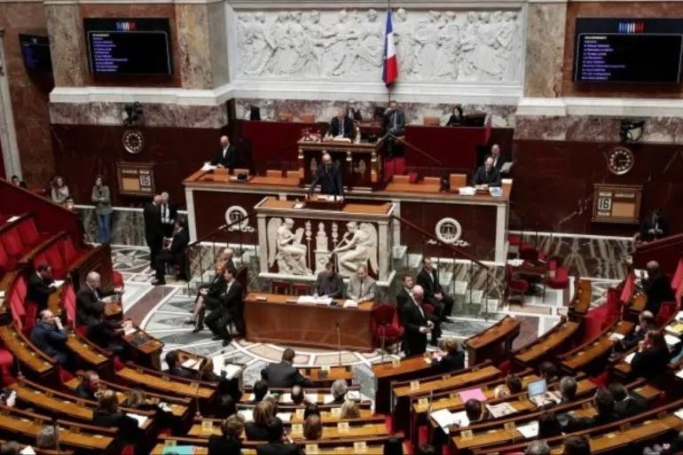 法国议会选举正式结果出炉执政党联盟占据相对多数席位