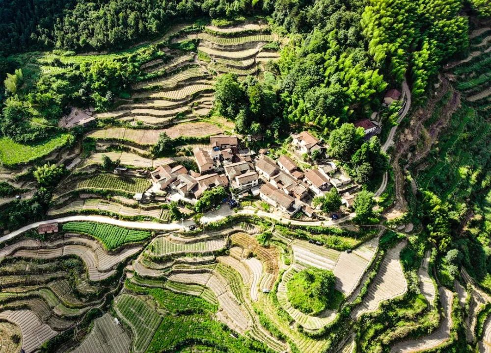 遂昌大搬快聚繪就共富新圖景