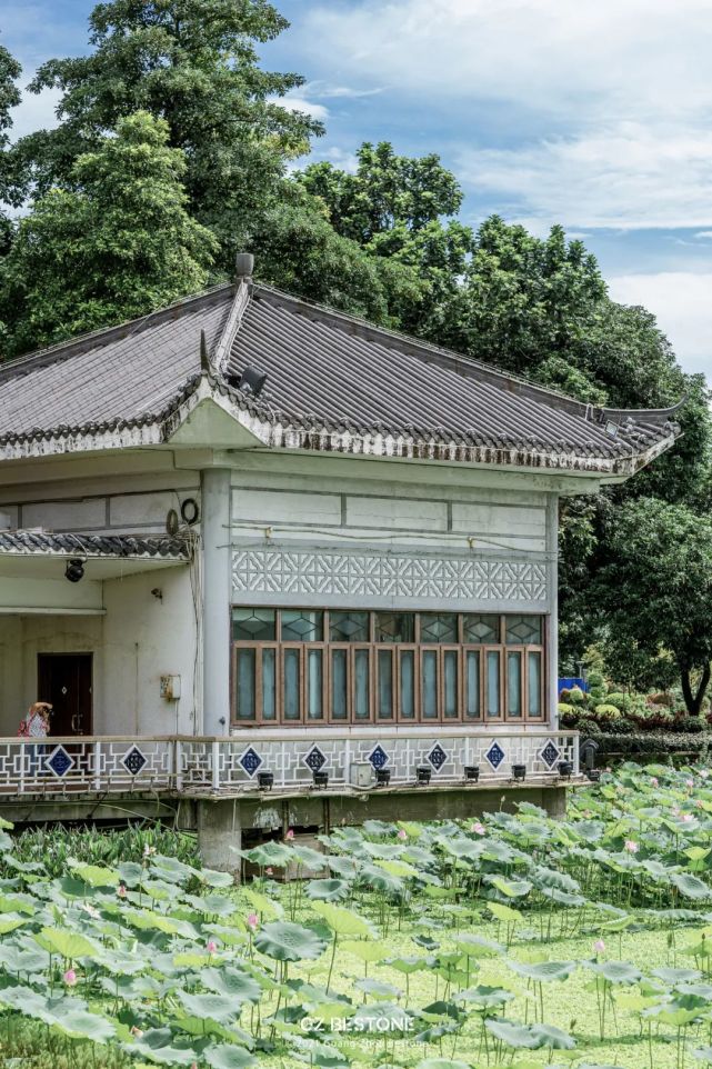 "海山仙馆,岭南园林风光"夏日荷花开,最近的荔湾湖公园美得像一幅画般