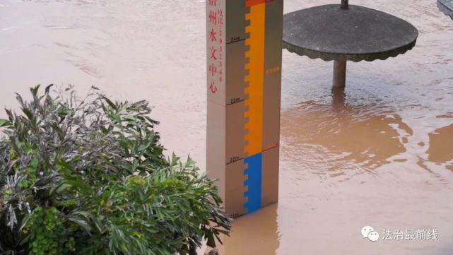 梧州,洪水超警戒水位两米多,沿江凉亭只剩亭顶!