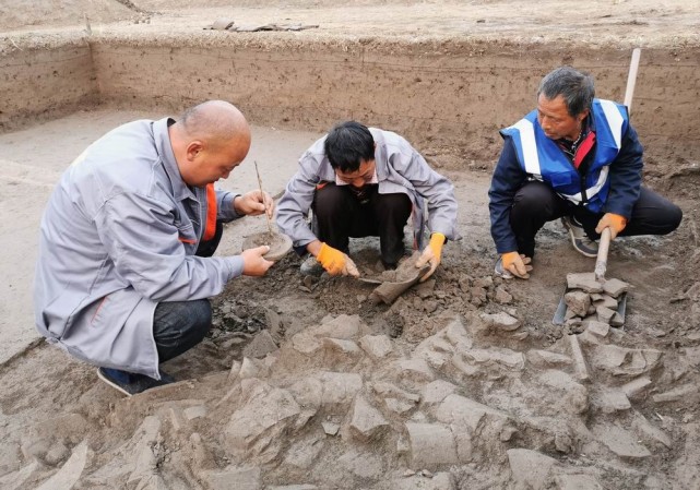 考古2021|隋唐考古:公主宅邸起正平,沙堆烽火映山河