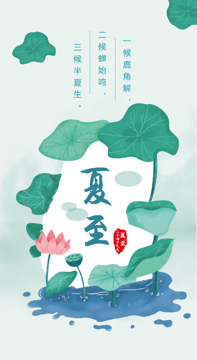 二十四节气【夏至】