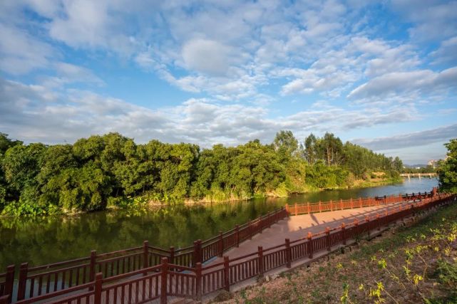 溪西村奏响乡村振兴交响曲