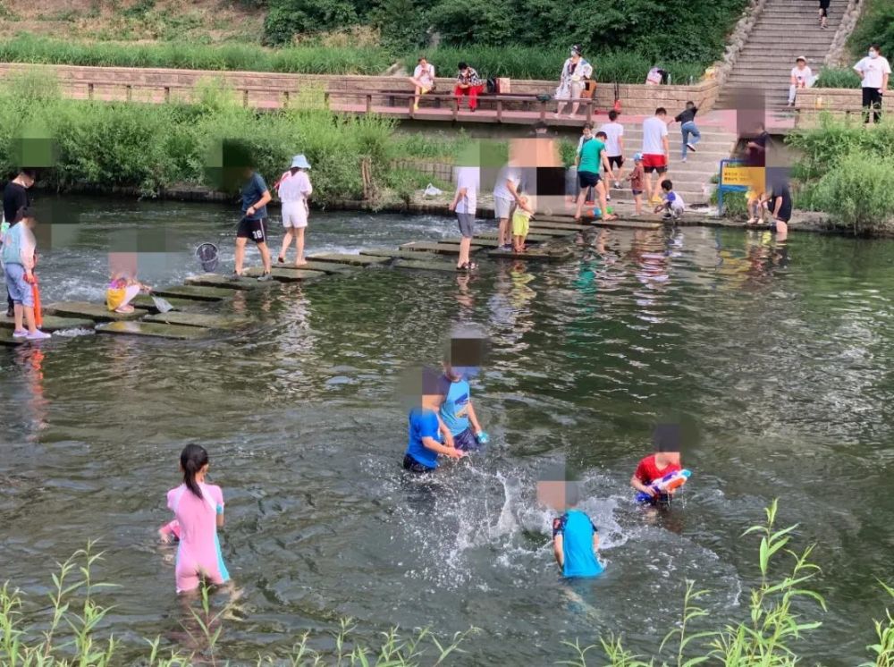 “网红”凉水河成儿童公共泳池！不干净，更不安全！