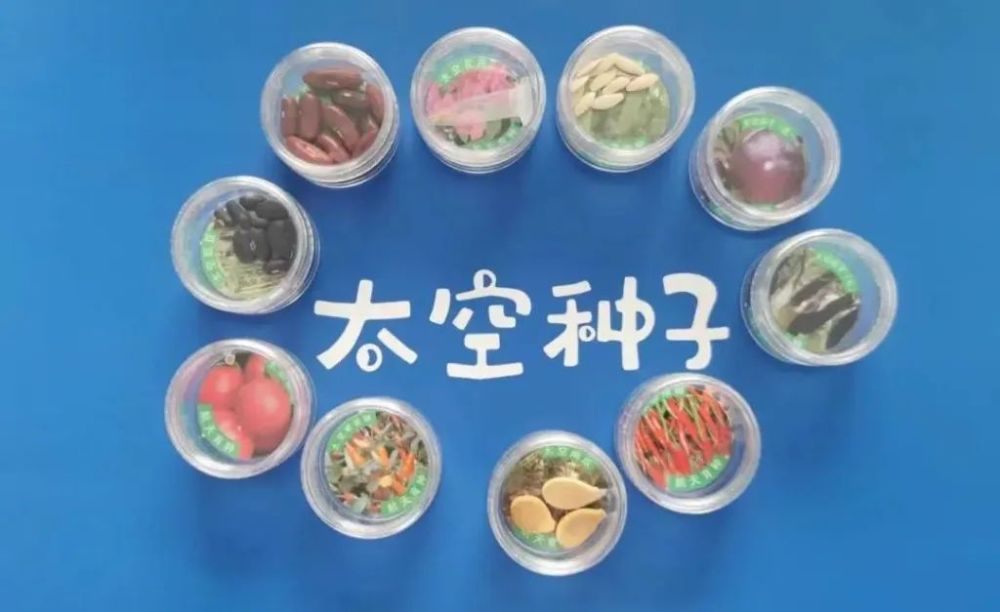 太空种子扎根记