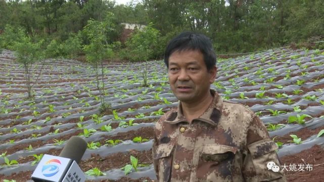 【推进作风革命 加强效能建设】大姚:引入源头"活水" 助力乡村振兴