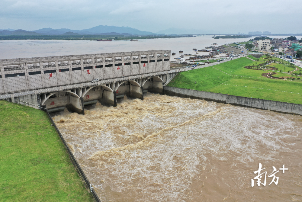 直击三水芦苞西南水闸启动分洪泄洪量提升至500立方米秒
