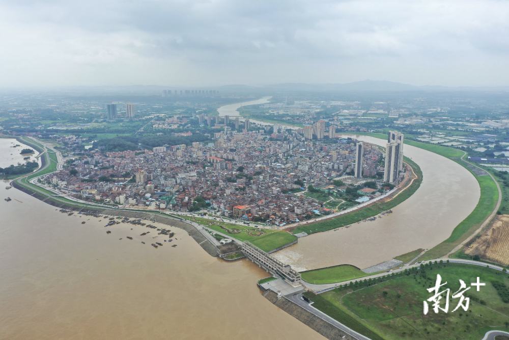 直击三水芦苞西南水闸启动分洪泄洪量提升至500立方米秒