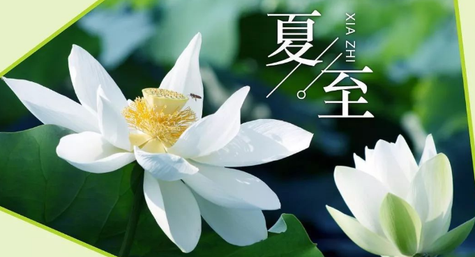 二十四节气丨今日夏至盛夏将至