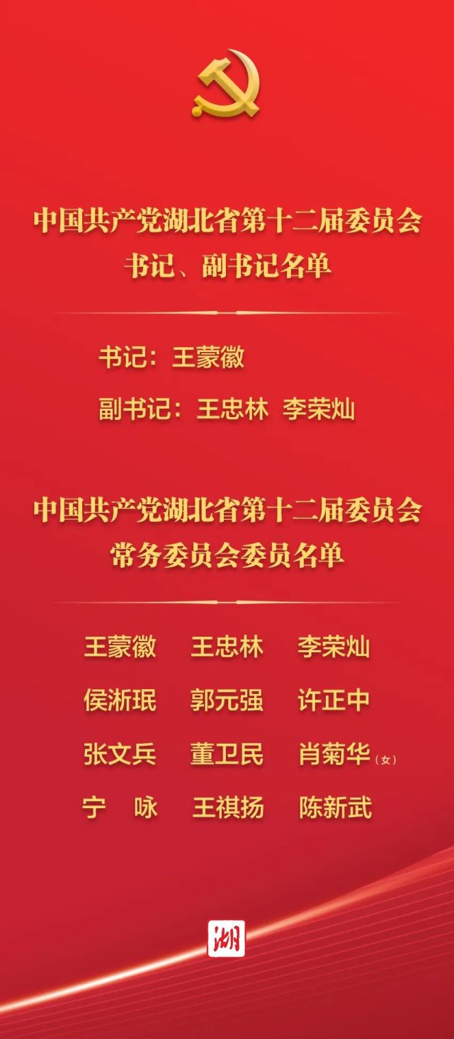 新一届湖北省委常委集体亮相简历照片