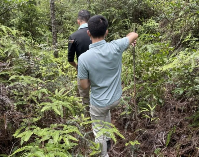 葛山一帶,深山較多,民警只能