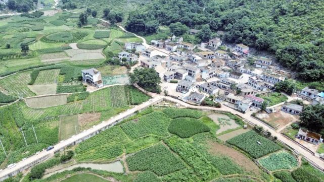 断桥镇农旅结合产业兴乡村振兴添动力